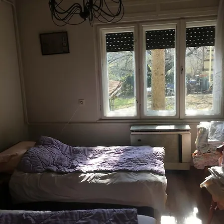 Hostel Leander-sziget Veszprém
